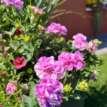 Lägenhet Gemuetliche In