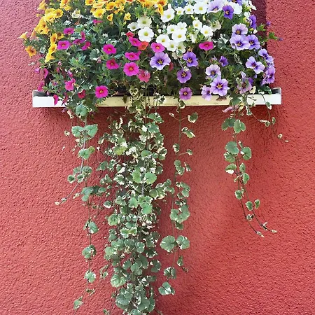 Neu Sanierte Fuer 2-4 P Eschwege