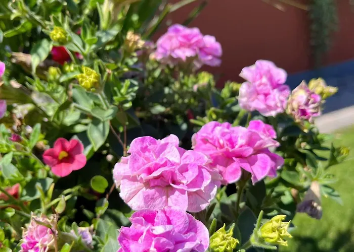 Apartamento Neu Sanierte Für 2-4 P